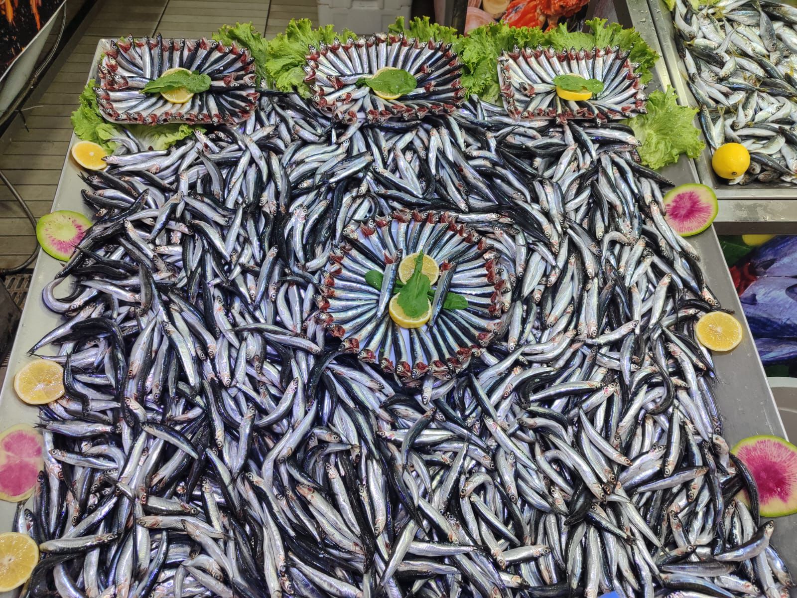 Lider Balıkçılık